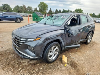 5NMJACDE3RH****** 2024 Hyundai Tucson