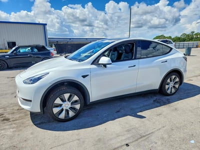 7SAYGDEE1PF****** 2023 Tesla Model Y