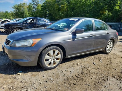 2010 Honda Accord