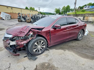 19UUB1F30FA****** 2015 Acura TLX