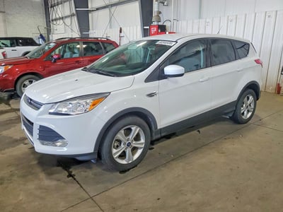 1FMCU0G92EU****** 2014 Ford Escape