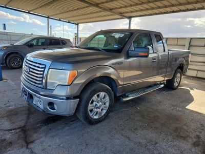 1FTEX1C86AF****** 2010 Ford F-150