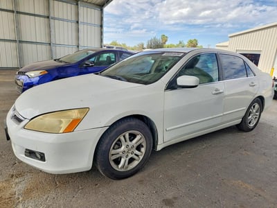 1HGCM56366A****** 2006 Honda Accord