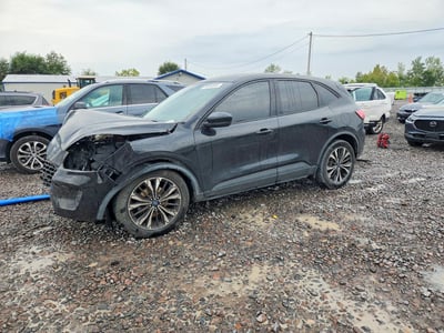 1FMCU0G6XNU****** 2022 Ford Escape