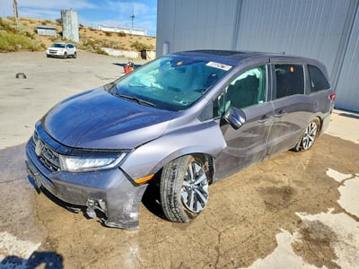 5FNRL6H61SB****** 2025 Honda Odyssey