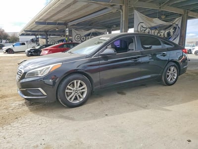 5NPE24AF3GH****** 2016 Hyundai Sonata