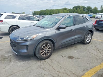 1FMCU9G68MU****** 2021 Ford Escape