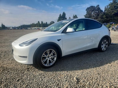 5YJYGAEE1MF****** 2021 Tesla Model Y