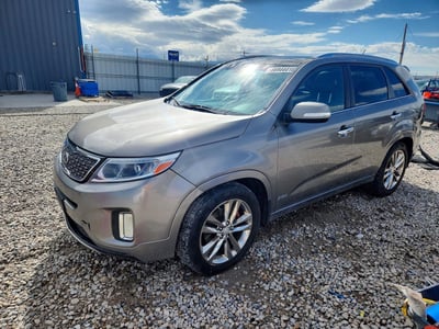 5XYKWDA76EG****** 2014 Kia Sorento