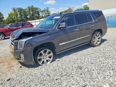 1GYS3CKJ7GR****** 2016 Cadillac Escalade