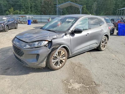1FMCU0G66MU****** 2021 Ford Escape