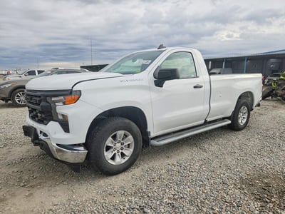 3GCNDAED3RG****** 2024 Chevrolet Silverado