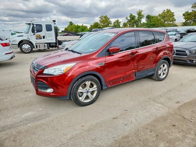 1FMCU0G91EU****** 2014 Ford Escape