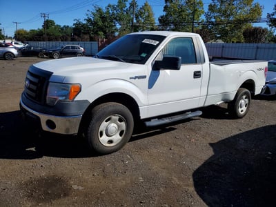 1FTRF14W89K****** 2009 Ford F-150