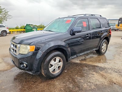 1FMCU0DG7BK****** 2011 Ford Escape