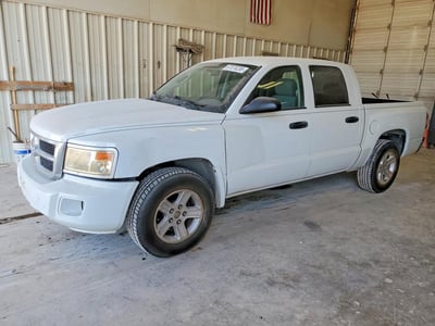 1D7CE3GKXAS****** 2010 Dodge Dakota