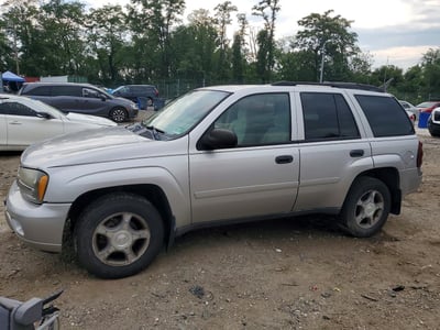 1GNDT13S282****** 2008 Chevrolet Trailblazer