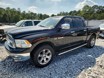1D7RV1CT6AS****** 2010 Dodge Ram Pickup