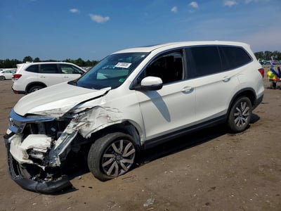 5FNYF5H51KB****** 2019 Honda Pilot