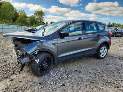1FMCU0F79KU****** 2019 Ford Escape