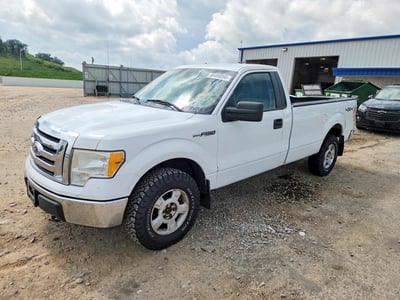 2010 Ford F-150