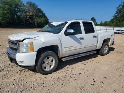 3GCEK23359G****** 2009 Chevrolet Silverado 1500