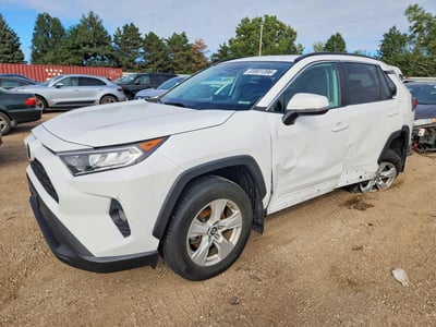 2T3P1RFV2KC****** 2019 Toyota RAV4
