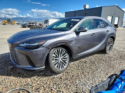 2T2BAMCA3PC****** 2023 Lexus RX