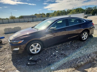 1G1ZB5ST2LF****** 2020 Chevrolet Malibu