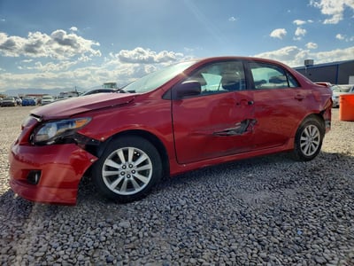 1NXBU4EE2AZ****** 2010 Toyota Corolla