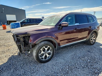 5XYP3DHC9LG****** 2020 Kia Telluride