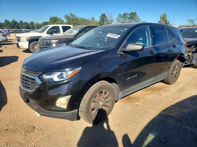 2GNAXSEV9K6****** 2019 Chevrolet Equinox