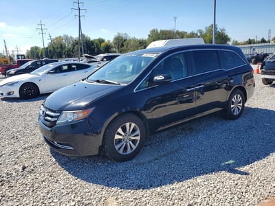 5FNRL5H61FB****** 2015 Honda Odyssey