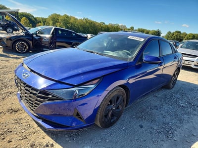 5NPLM4AGXPH****** 2023 Hyundai Elantra