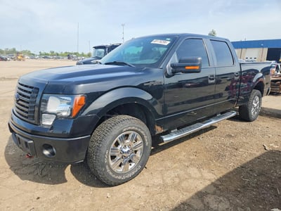 1FTFW1ET1BF****** 2011 Ford F-150
