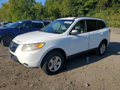 5NMSG13D59H****** 2009 Hyundai Santa Fe