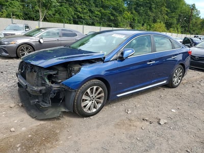 5NPE34AF9GH****** 2016 Hyundai Sonata