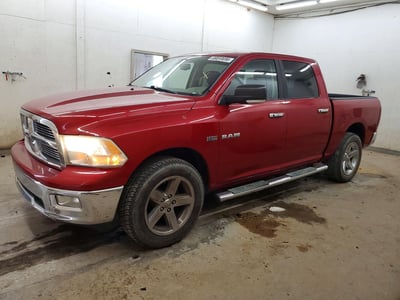 1D7RV1CTXAS****** 2010 Dodge Ram Pickup