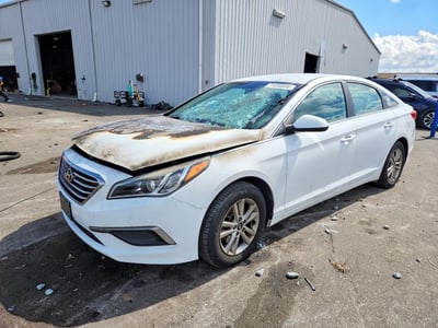5NPE24AF1HH****** 2017 Hyundai Sonata