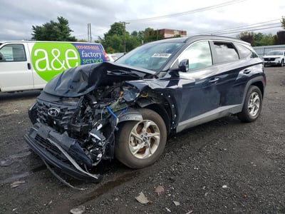 KM8JBCDEXRU****** 2024 Hyundai Tucson