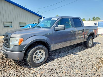 1FTFW1EF1EK****** 2014 Ford F-150