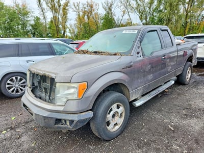1FTFX1EVXAF****** 2010 Ford F-150