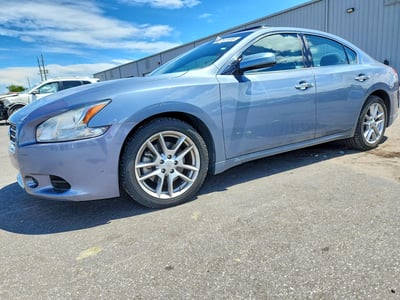 1N4AA5AP4AC****** 2010 Nissan Maxima