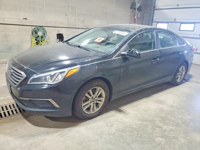 5NPE24AF1GH****** 2016 Hyundai Sonata