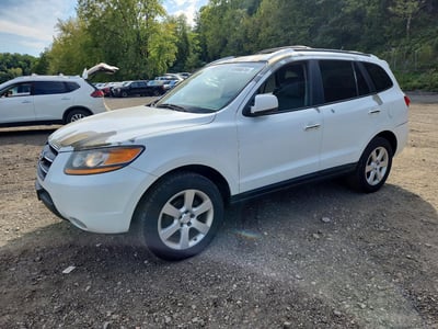 5NMSH73E29H****** 2009 Hyundai Santa Fe
