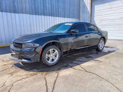 2C3CDXBG3PH****** 2023 Dodge Charger