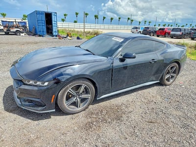 1FA6P8TH1R5****** 2024 Ford Mustang