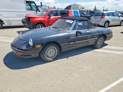 ZARBA5415B1****** 1981 Alfa Romeo Spider
