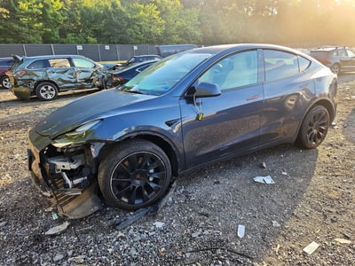 7SAYGDEE6NF****** 2022 Tesla Model Y