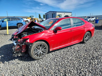 4T1G11BK7PU****** 2023 Toyota Camry
